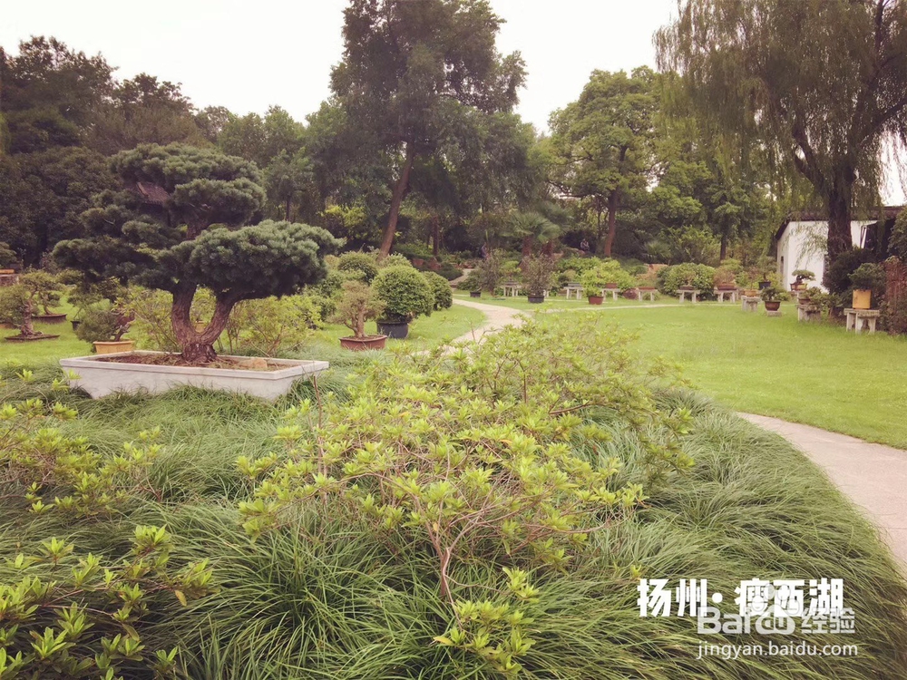 扬州瘦西湖,国庆出游好去处