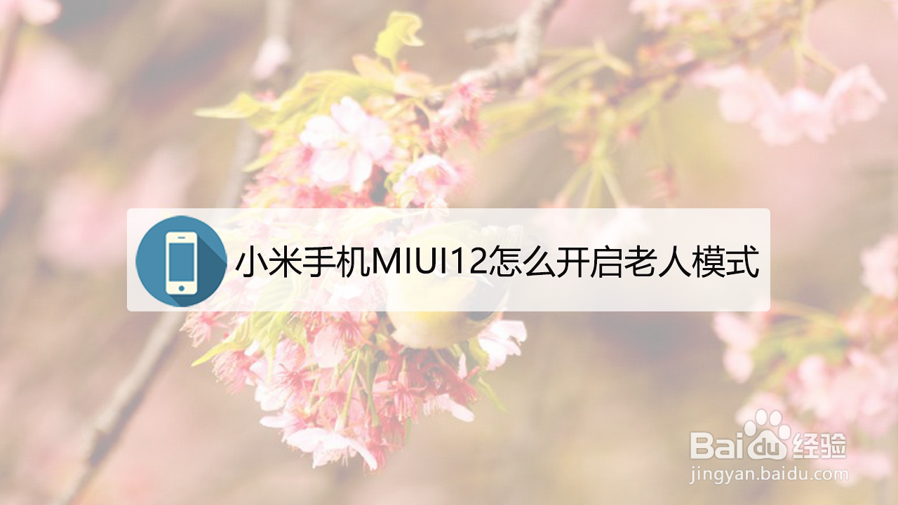 小米手机MIUI12怎么开启老人模式