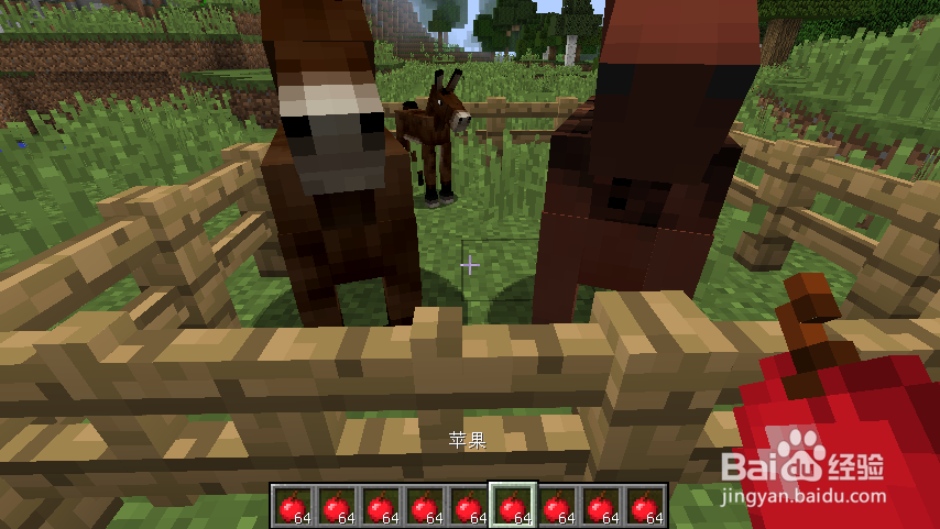 我的世界骡子怎么繁殖