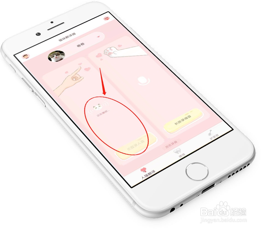 什么软件可以翻译猫语