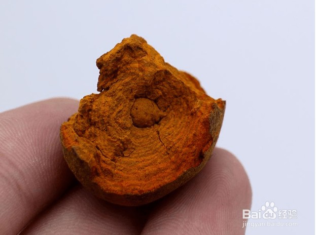 传统药材中的牛黄其实是? 蚂蚁庄园1.7