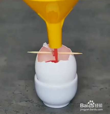 如何把鸡蛋壳废物利用
