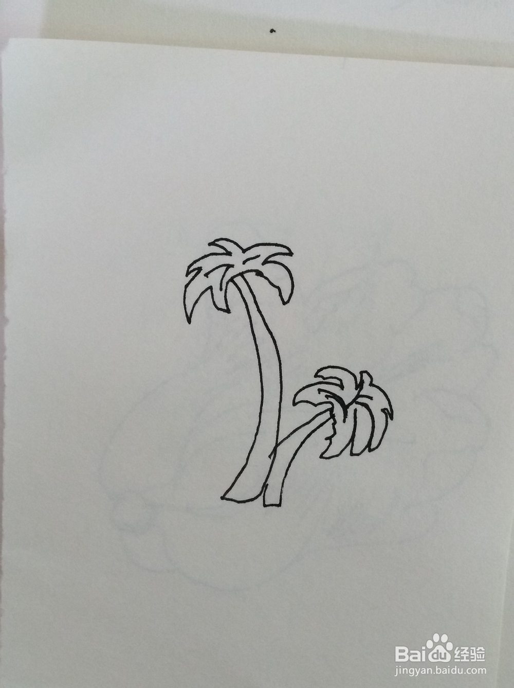 简笔画-画椰子树