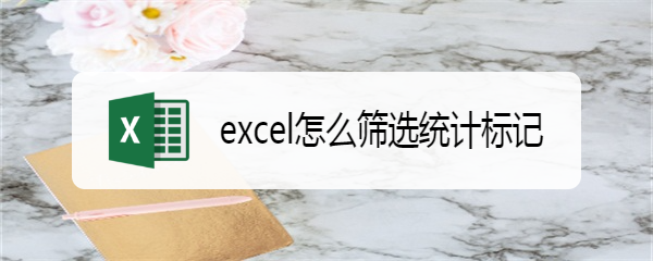 excel怎么筛选统计标记