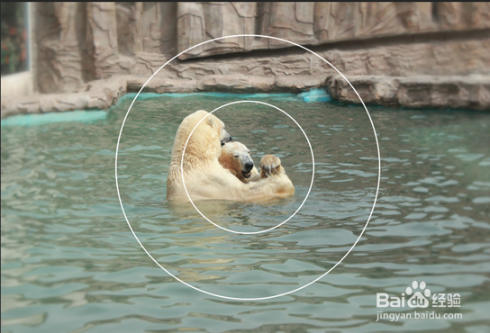 迅速让照片中的情侣更突出