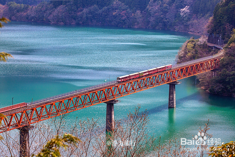 3月去日本赏樱,如何避免东京、京都等人山人海