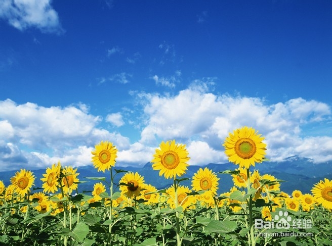 年轻人迷茫了怎么办