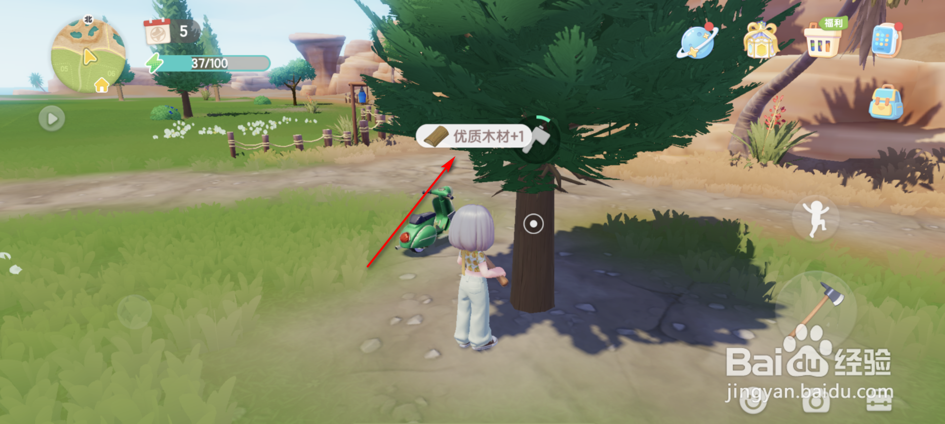 心动小镇怎么获得优质木材