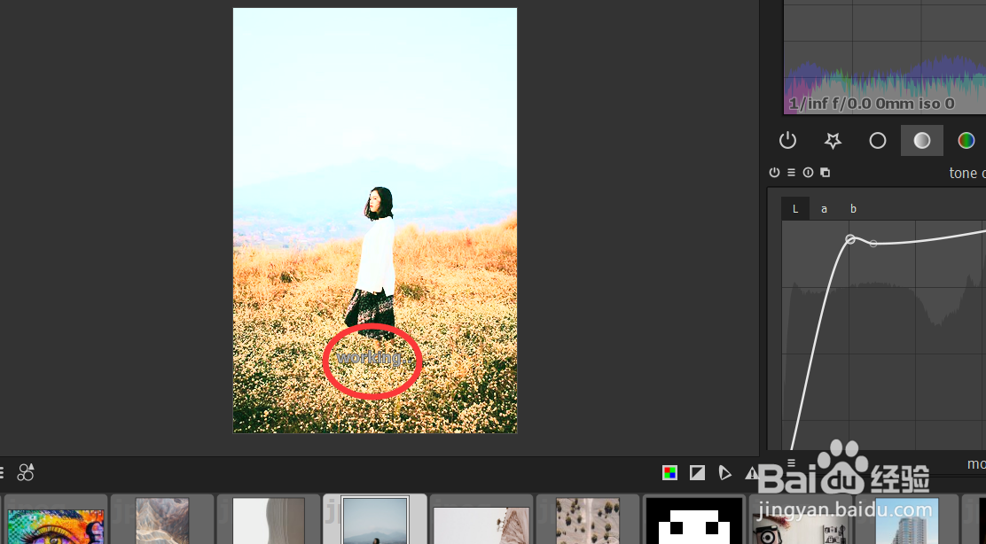 怎样使用darktable修改图片的tone curve?
