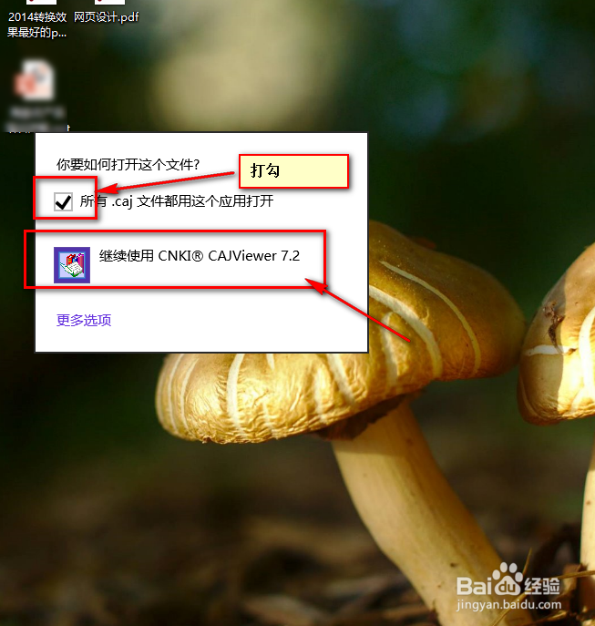 caj文件怎么打开