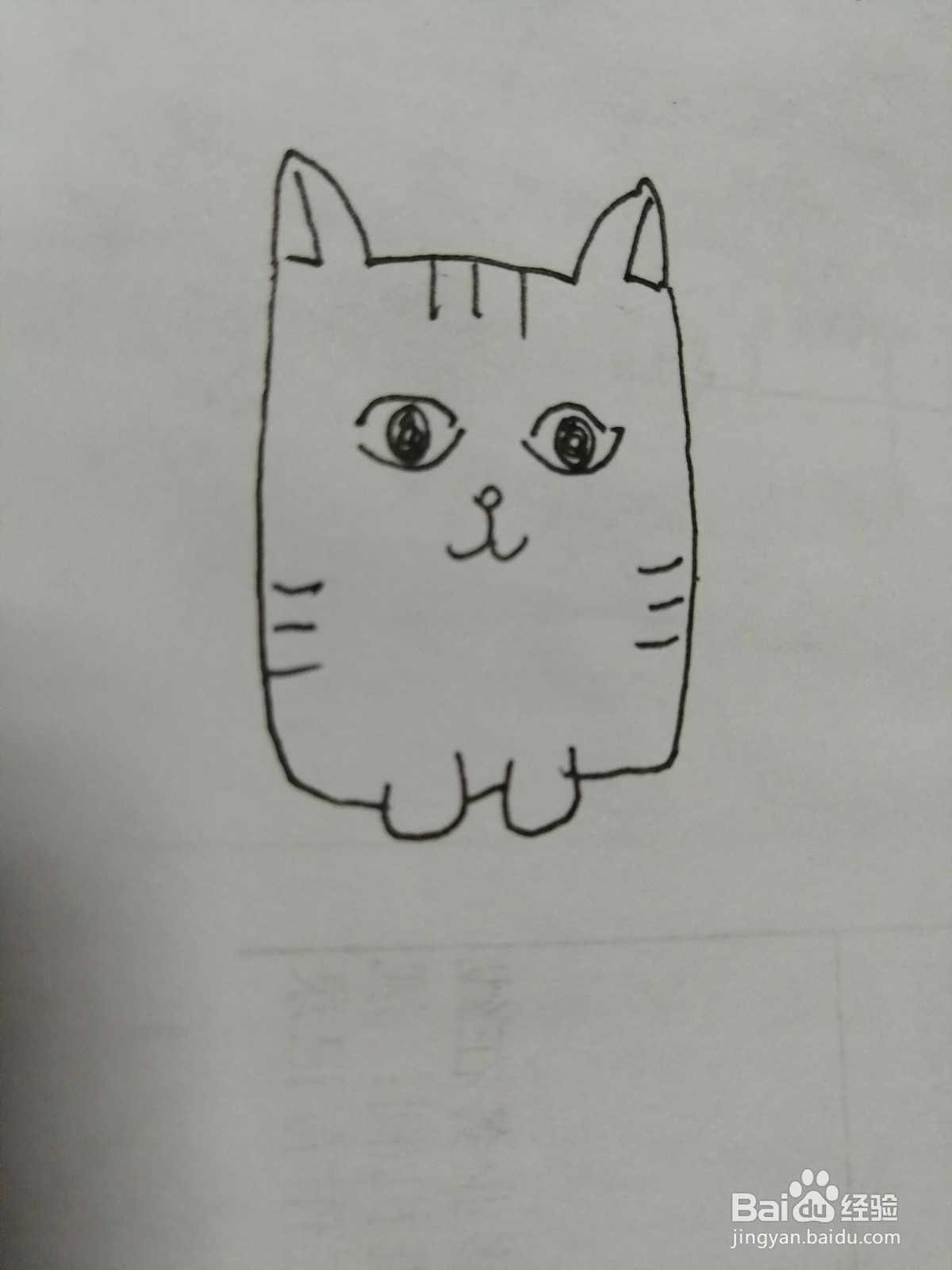 可爱的小猫咪怎么画