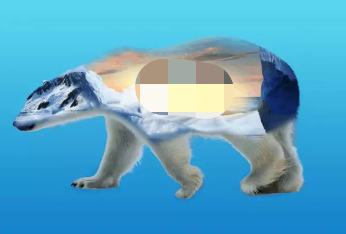 PS：多重曝光北极熊