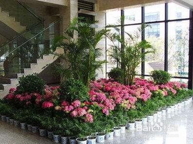 花店创业怎么做