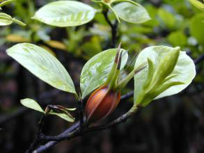 手汗是什么？你知道吗？