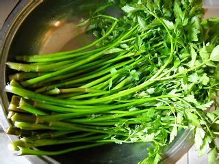 野生水芹炒肉丝