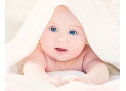 感官类游戏有哪些