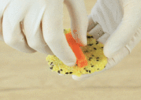 小米红薯条的做法