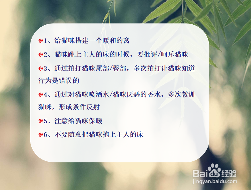 怎么不让猫上自己的床