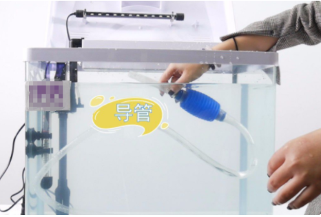 鱼缸怎么开缸养水