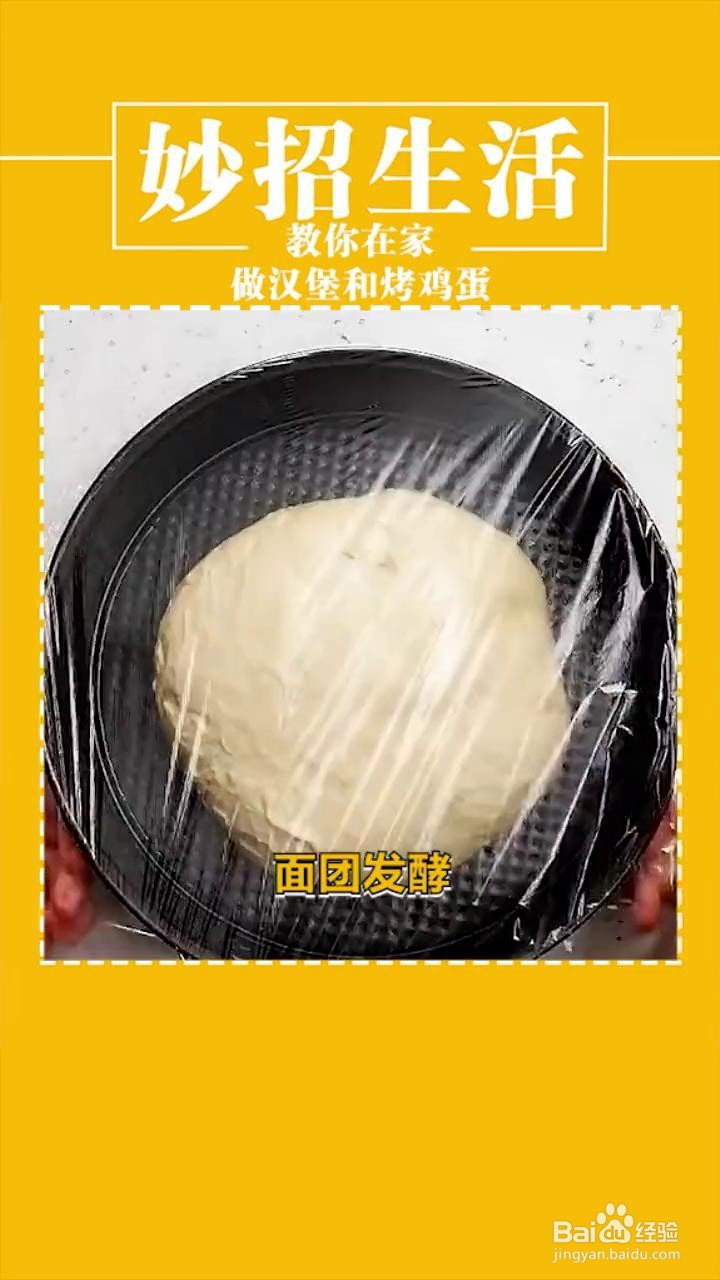 如何在家做汉堡和烤鸡蛋？