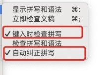 pages怎么开启检查拼写功能