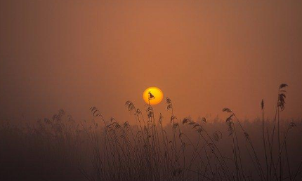 难忘的一件事优秀开头结尾有哪些