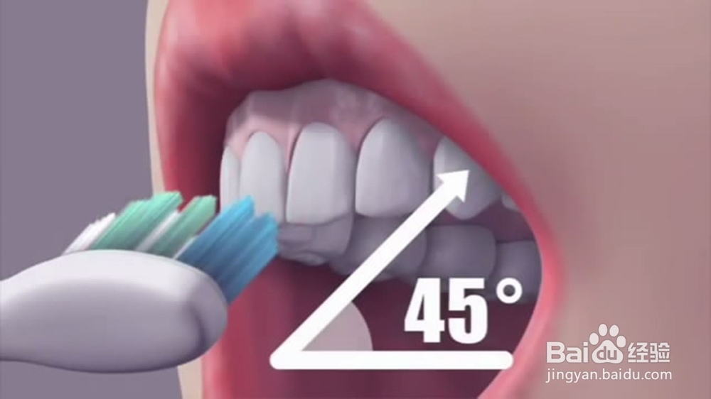 怎样刷牙才是最正确的？