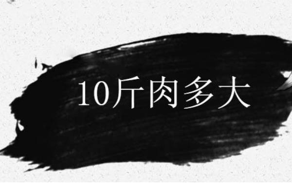 10斤肉是多大一坨