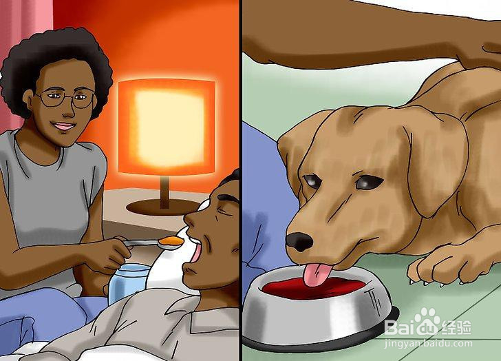 如何使用婴儿食品