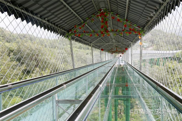 棠梨乐游谷攻略