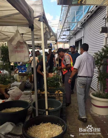 多米尼加旅游攻略