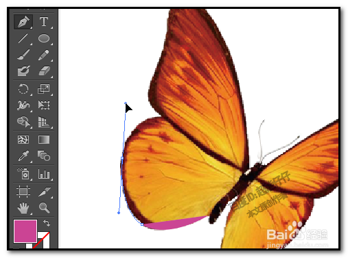 illustrator钢笔工具怎么用 AI如何用钢笔描图形