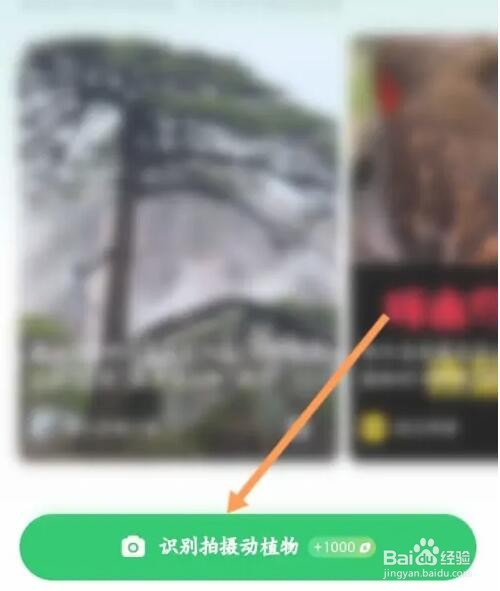 怎么用抖音拍摄来识别动物