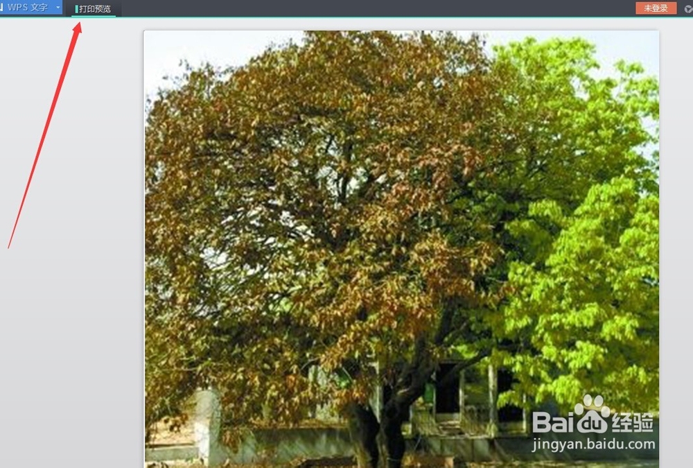 怎么让wps文档中的背景图片可以打印