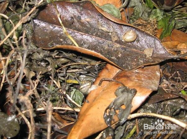 怎样预防蚊虫叮咬？