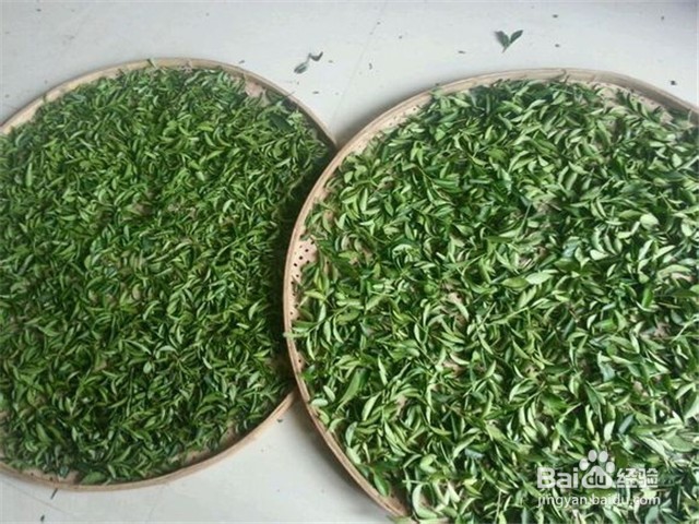 茶叶饭能预防什么疾病,怎么做