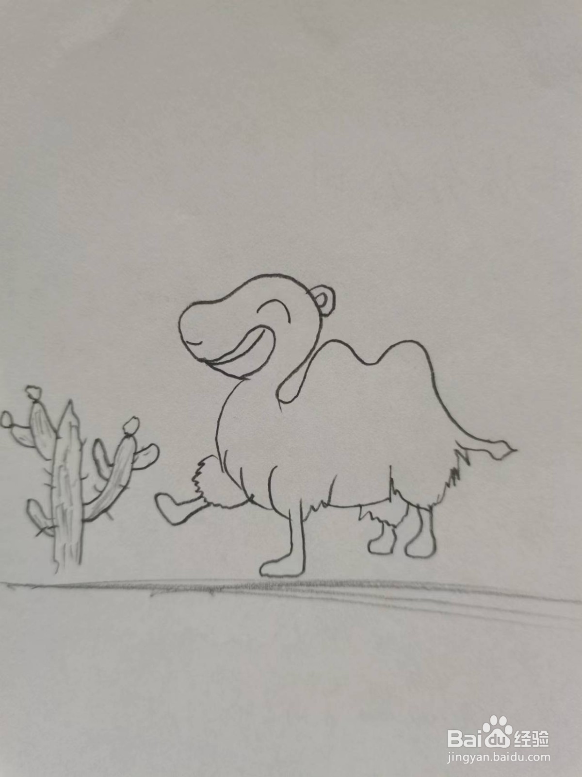 铅笔画沙漠骆驼