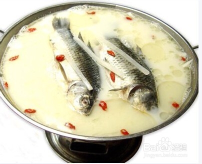 哪些药膳催乳效果好