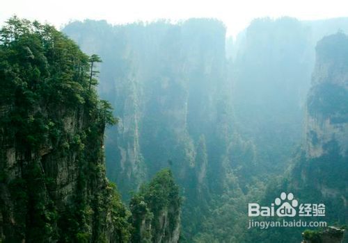 苏州到张家界线路、景点、提示全新攻略