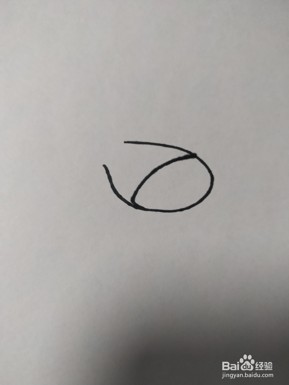 毛驴的简笔画技法5