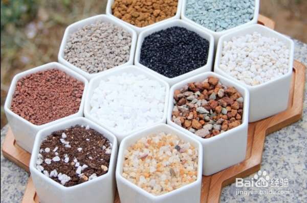 多肉换盆注意事项