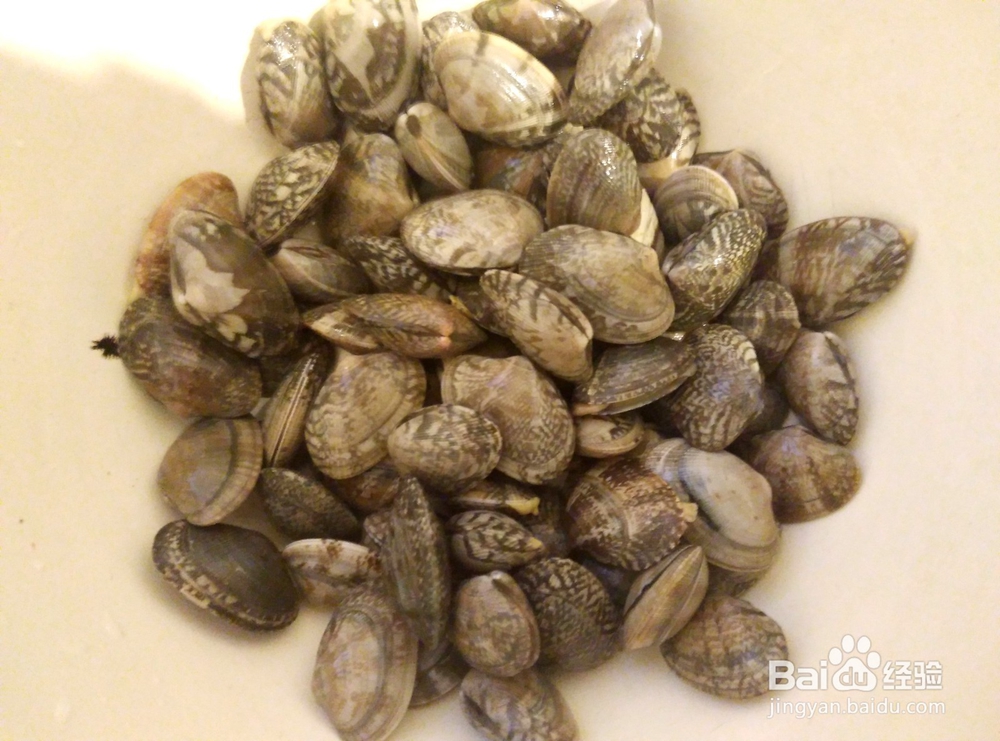 美食#花甲如何进行清洗