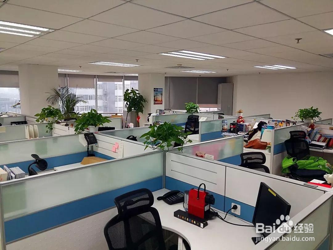 多媒体设计与制作是一个什么样的专业