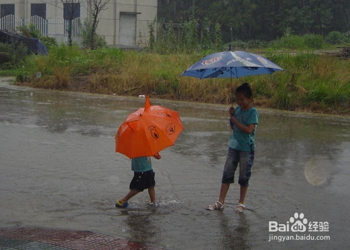 夏季如何应对雷雨灾害