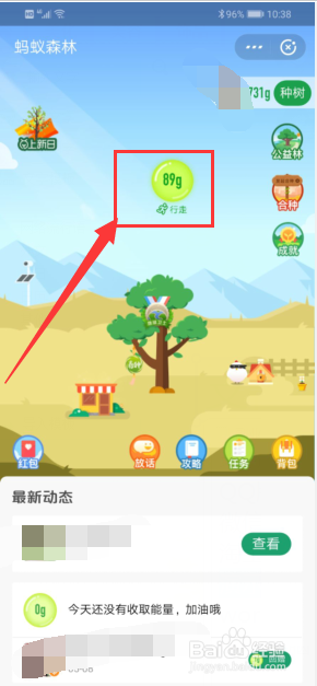 支付宝蚂蚁森林怎么收取能量