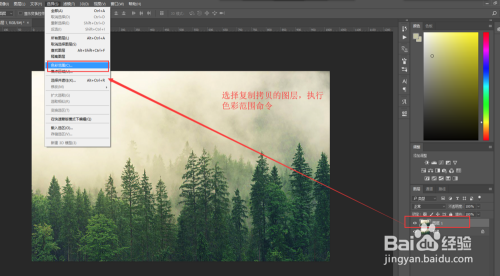 PS中怎么将松树林抠图抠出来