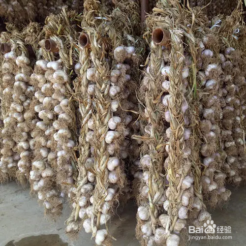 辩,辨,辫,瓣怎么区分