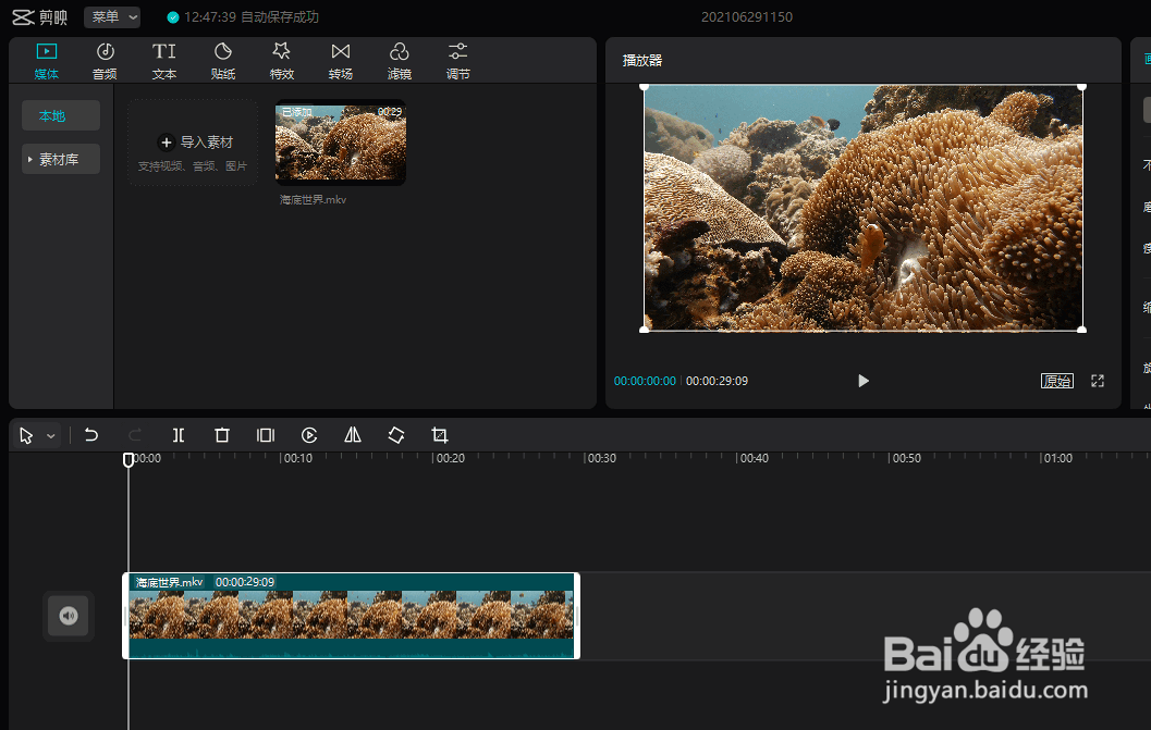 怎么用剪映工具将视频画面进行左右镜像效果处理