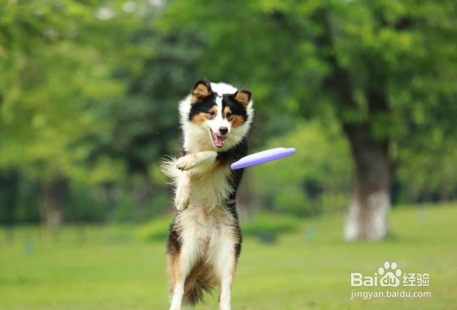 哪些生活小习惯可以让皮肤变得更好