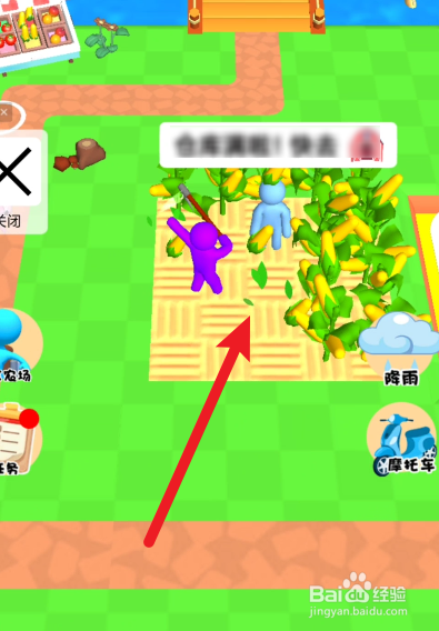 建个大农场如何售卖玉米